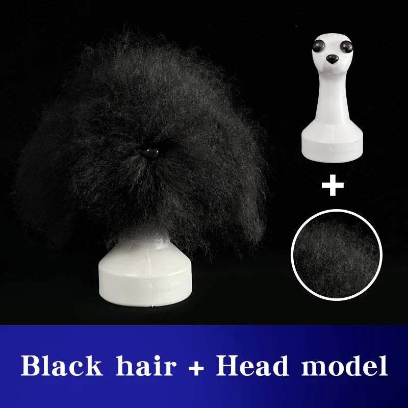 Teddy Dog Simulated Head Model – Pet Grooming Practice Tool Dog Grooming Model Qme Black hair and Model