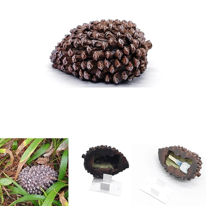 Hidden Pine Cone Key Safe Box – Outdoor Garden Key Storage Outdoor Key Safe Qme