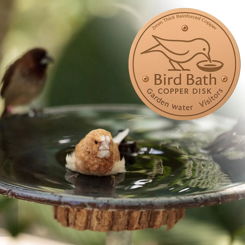 Copper Bird Bath Disk – Water Fountain Cleaning Purifier Bird Bath Accessory Qme