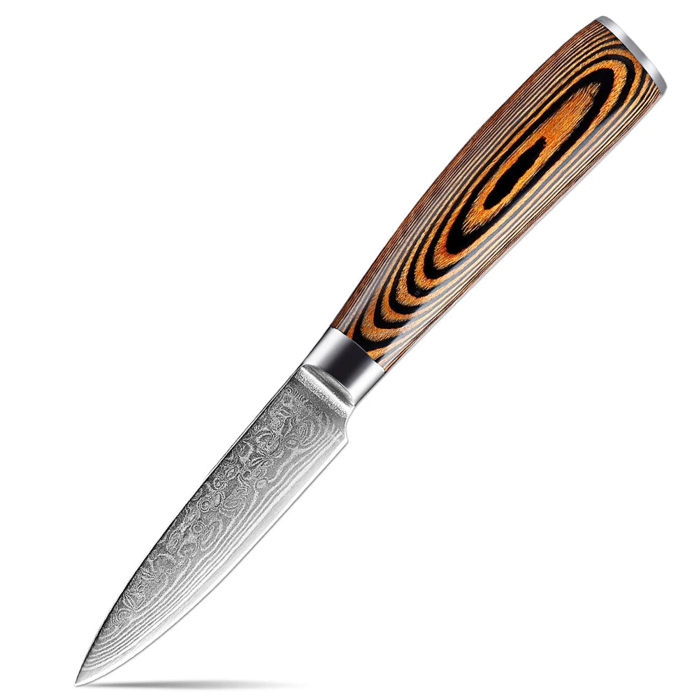 XITUO Damascus Steel Kitchen Knife Set – Colored Wood Handle Kitchen Knife Set Qst Paring Knife