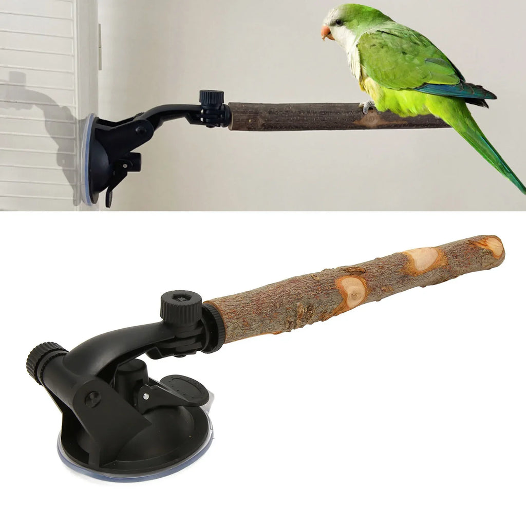 Parrot Suction Cup Window Perch & Bird Bath – Wooden Stand Bird Perch Stand Qme