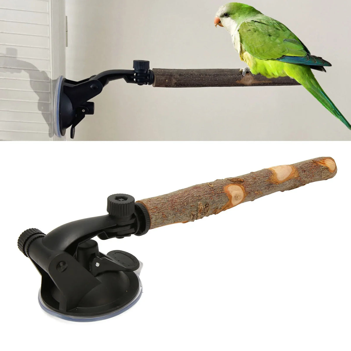 Parrot Suction Cup Window Perch & Bird Bath – Wooden Stand Bird Perch Stand Qme