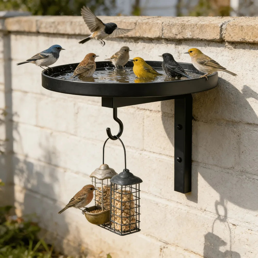 3-in-1 Wall Mounted Metal Bird Feeder Bath & Plant Hook | Rustic Wall Mounted Bird Feeder Qme