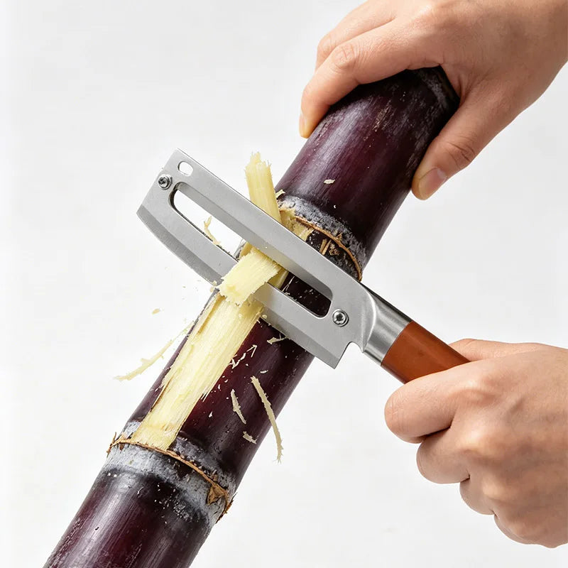 Stainless Steel Multifunctional Peeler – Sugarcane, Pineapple & Veg Vegetable Peeler Qst