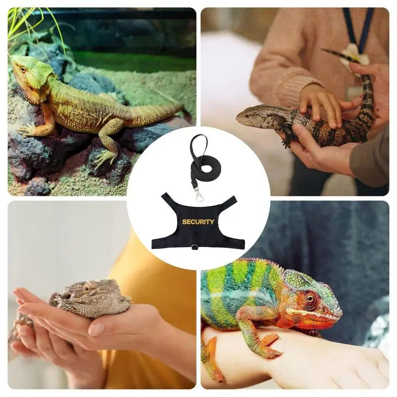 Reptile Harness & Leash | Bearded Dragon, Gecko, Lizard Reptile Harness Leash Qme