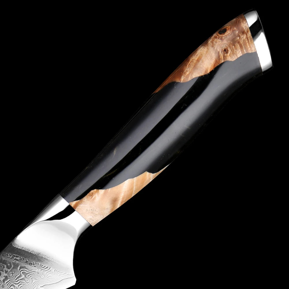 XITUO 67-Layer Damascus Steel Paring Knife 3.5" – VG10 Sharp Damascus Paring Knife Qst
