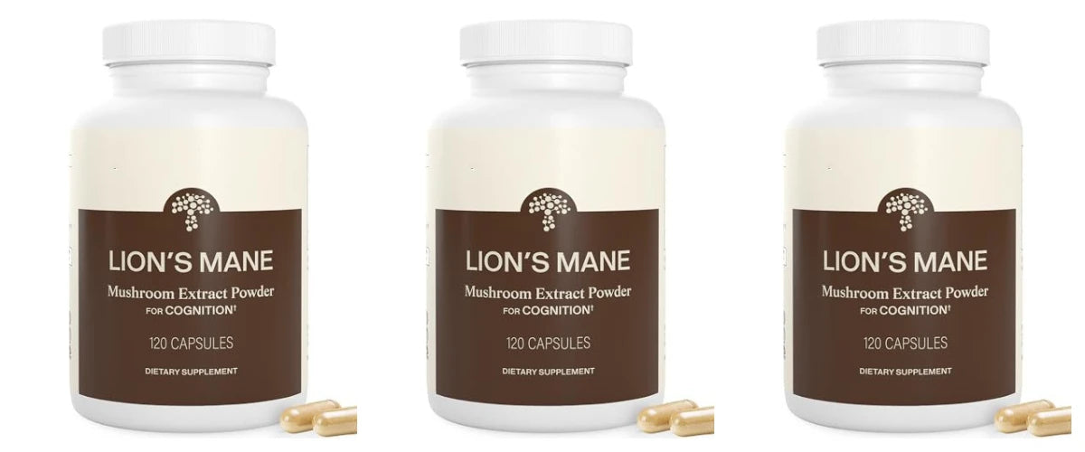 Lion's Mane Mushroom Extract 1000mg – 120 Capsules, 60 Servings Mushroom Supplement Qst 3bottles 360capsules