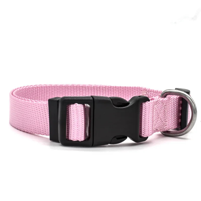 Adjustable Nylon Pet Collar for Puppies, Kittens & Small Dogs Pet Collar Qme
