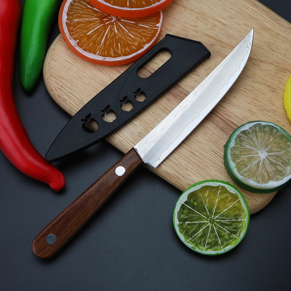 Damascus Steel Fixed Blade Fruit Knife – VG10 Sandwich Steel Fixed Blade Knife Qst Fruit Knife