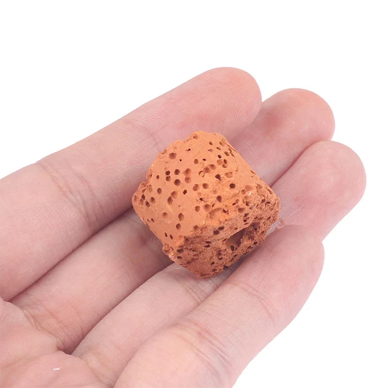 Ceramic Aquatic Plant Fixing Rings for Aquariums – 10pcs Aquarium Plant Anchor Qme