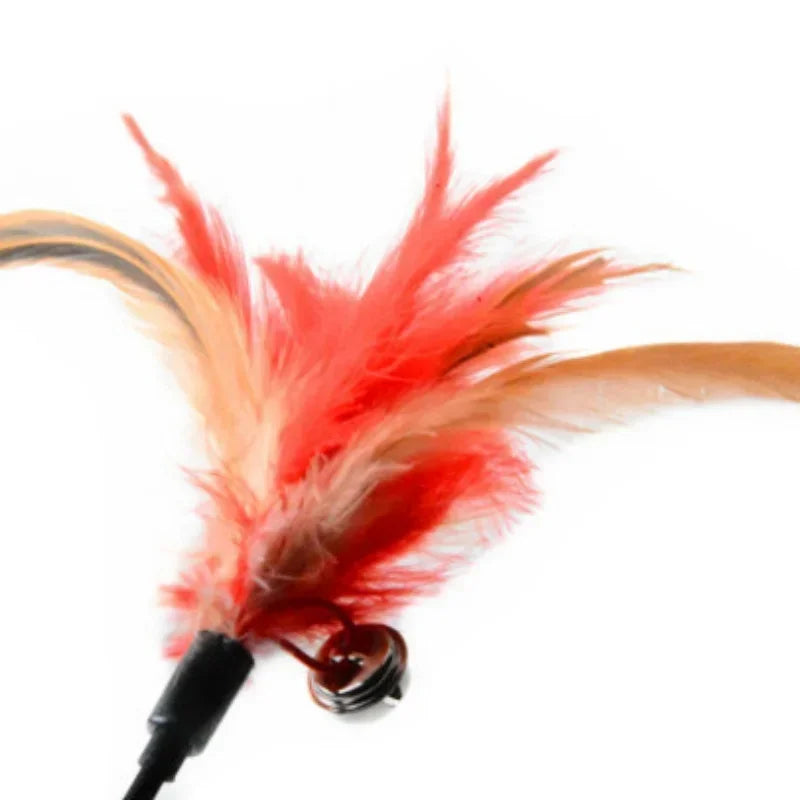 Cat Feather Wand Toy with Bell – Interactive Rod for Cats Interactive Cat Toy Qme