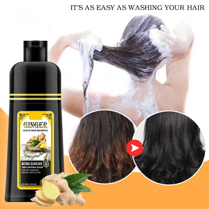 Ginger & Coconut Natural Darkening Shampoo for Gray Hair Hair Dye Shampoo Qme