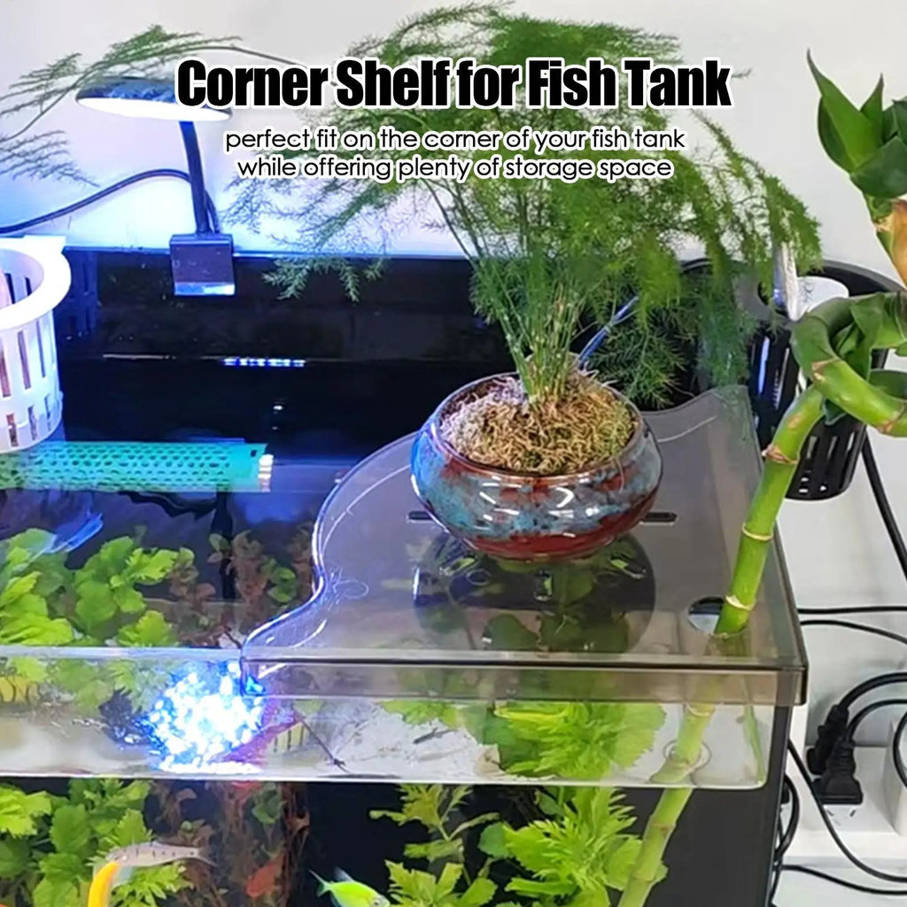 Triangle Aquarium Corner Shelf – Fish Tank Plant Holder Aquarium Corner Shelf Qme