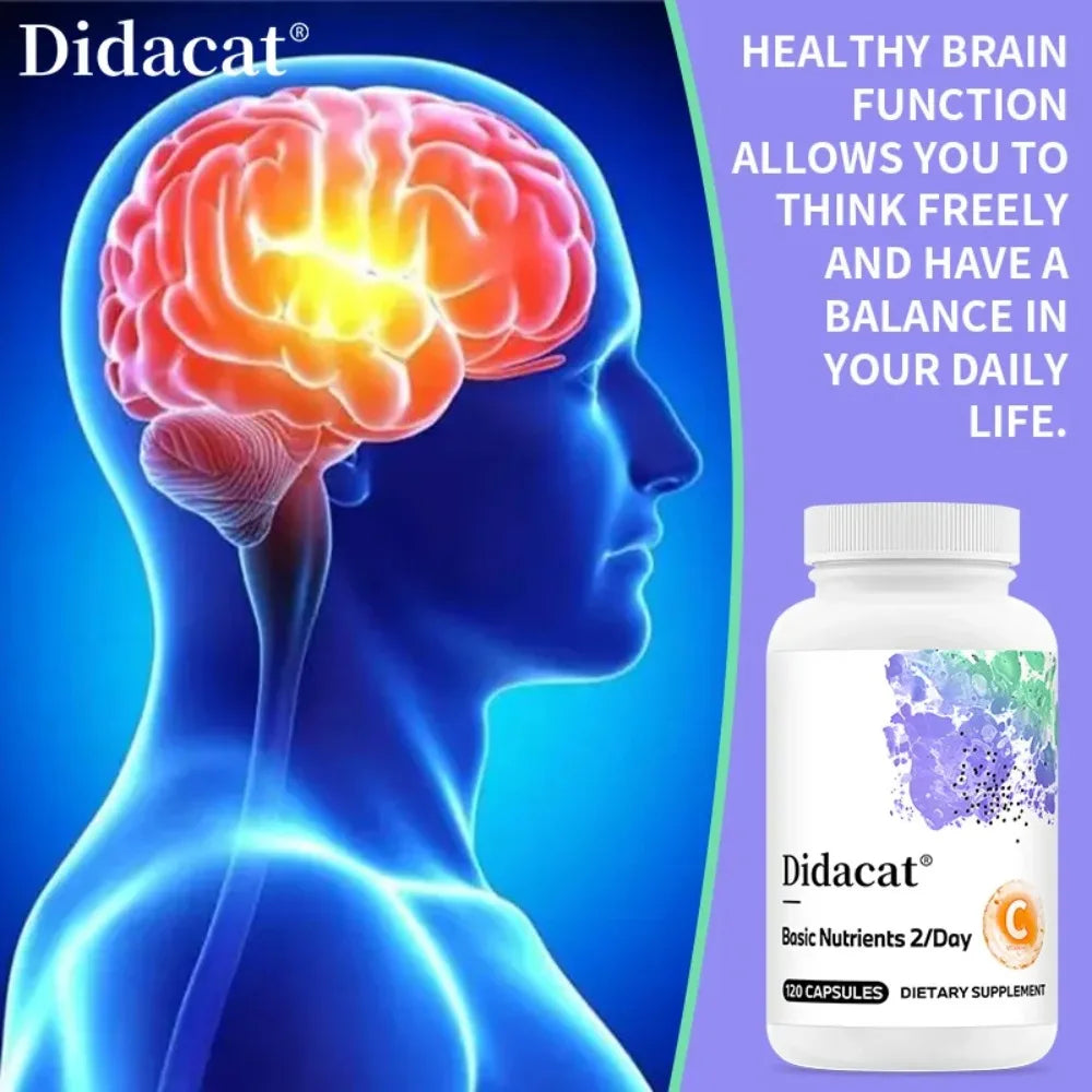 Multivitamin & Mineral Capsules – Zinc, D3 & K2 | Didacat Multivitamin Supplement Qst