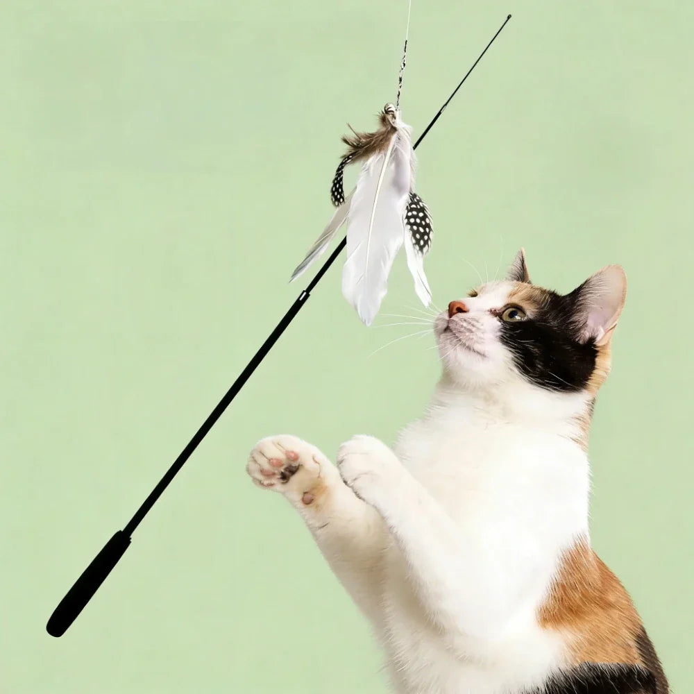 1.8M Telescopic Cat Teaser Wand – 4-Section Feather Toy Cat Teaser Wand Qme