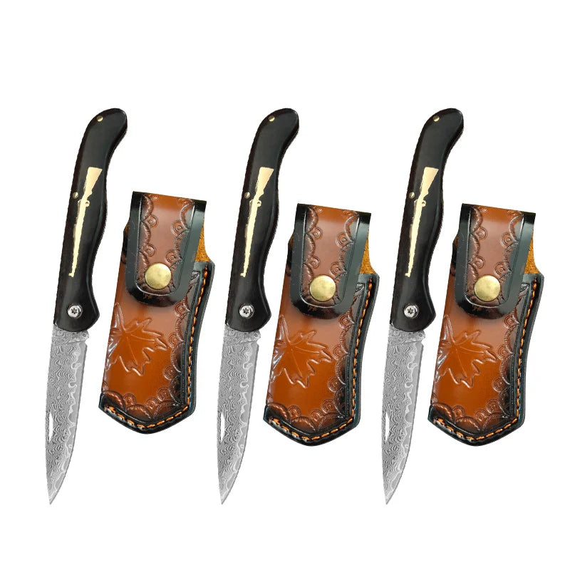 VG10 Damascus Steel Folding Paring Knife – Wood Handle Folding Paring Knife Qst Folding Knife 3BT
