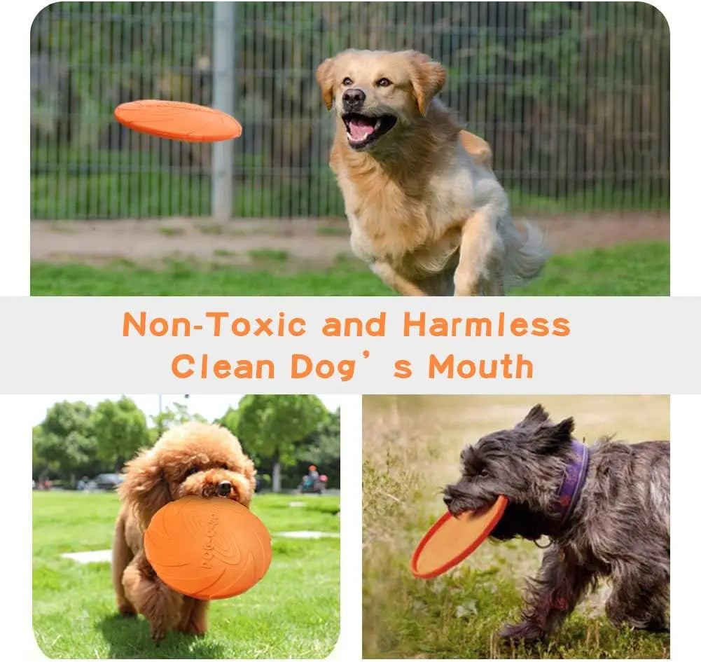 Durable Rubber Dog Frisbee – Interactive Outdoor Fetch Toy Dog Fetch Toy Qme