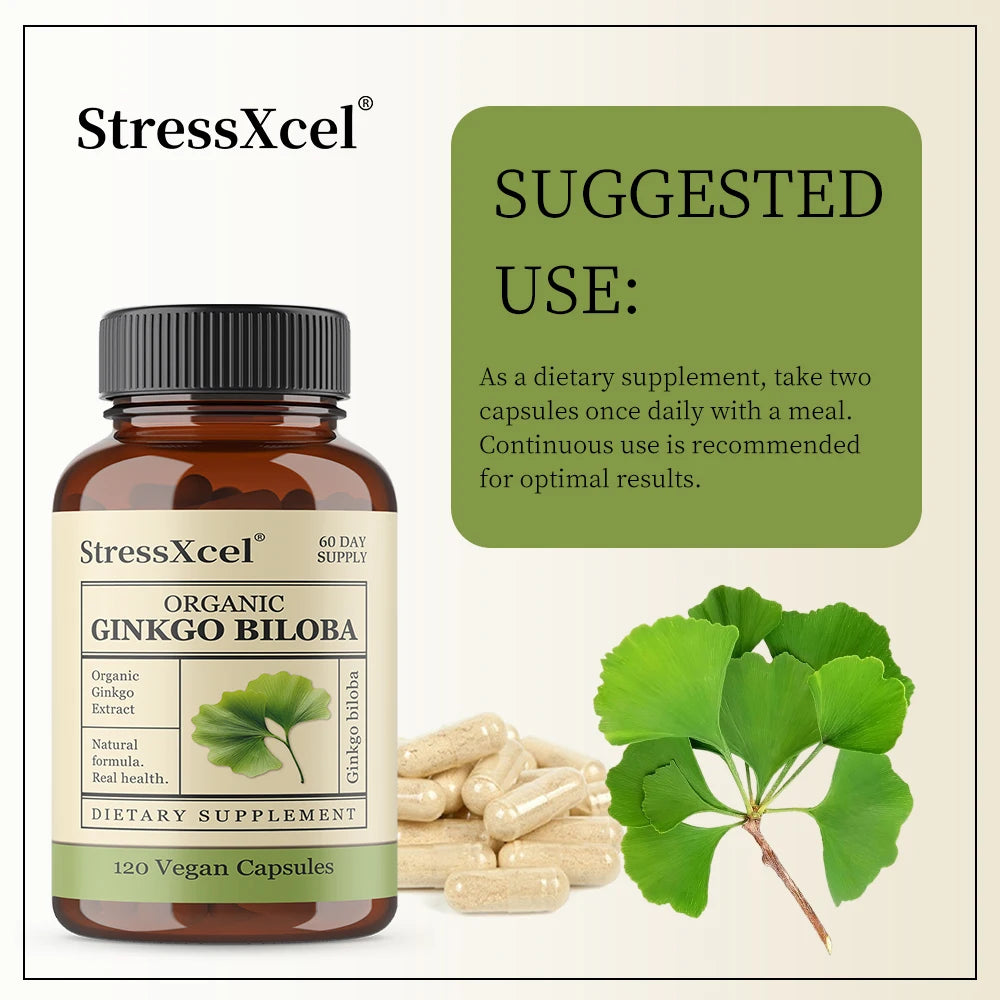 Ginkgo Biloba Capsules – Memory, Focus & Cognitive Support Herbal Supplement Qst