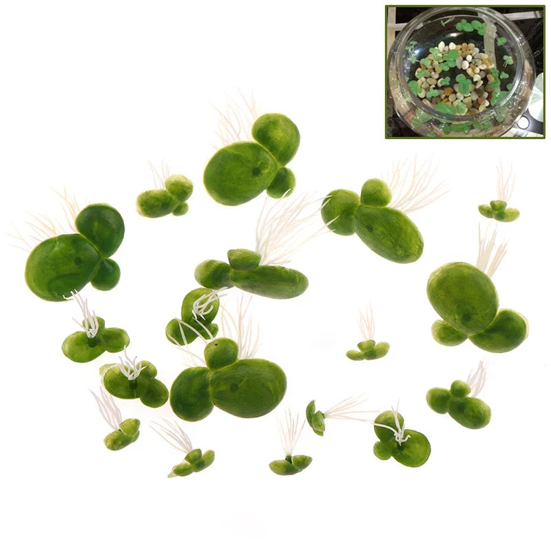 Artificial Floating Duckweed with Roots – 18 Pcs Aquarium Decor Aquarium Decor Plant Qme one size