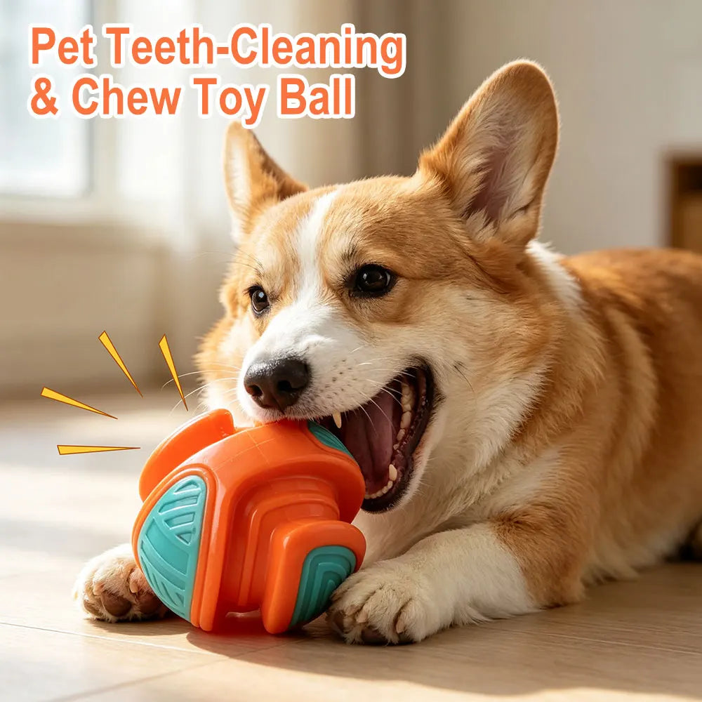 Squeaky TPR Dog Ball – Chew & Dental Toy for Small Dogs Dog Chew Toy Qst
