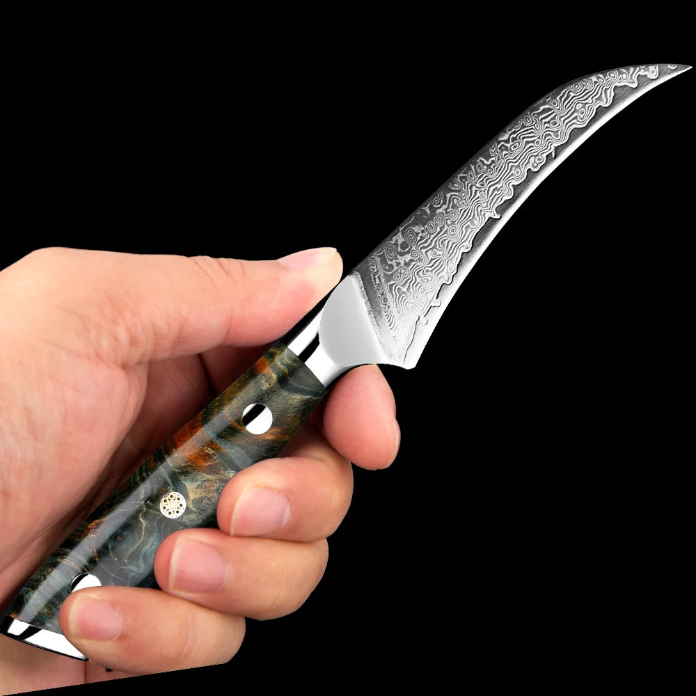 XITUO 3.5" Damascus VG10 Paring Knife – Razor Sharp, Wood Handle Damascus Paring Knife Qst