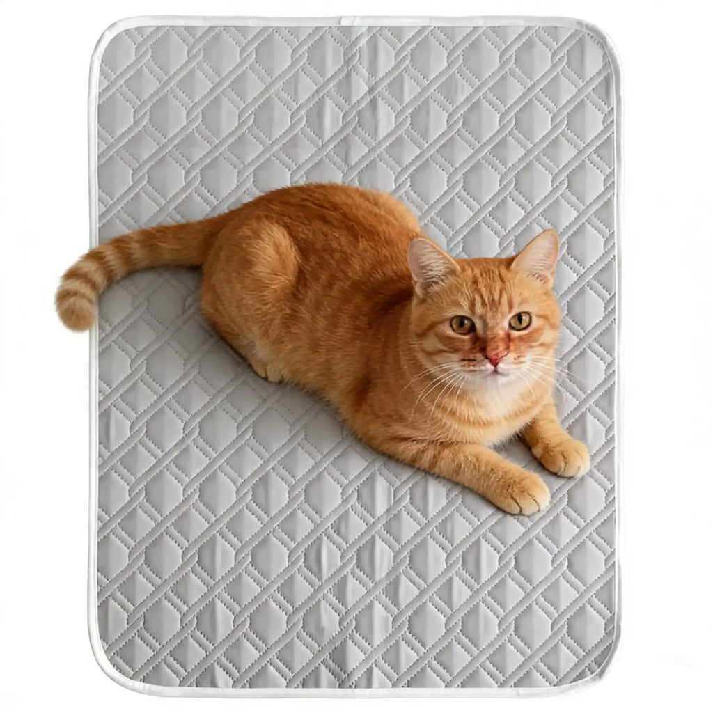 Self-Cooling Dog Mat – Soft Absorbent Pet Sleeping Pad 45x35cm Pet Cooling Mat Qme