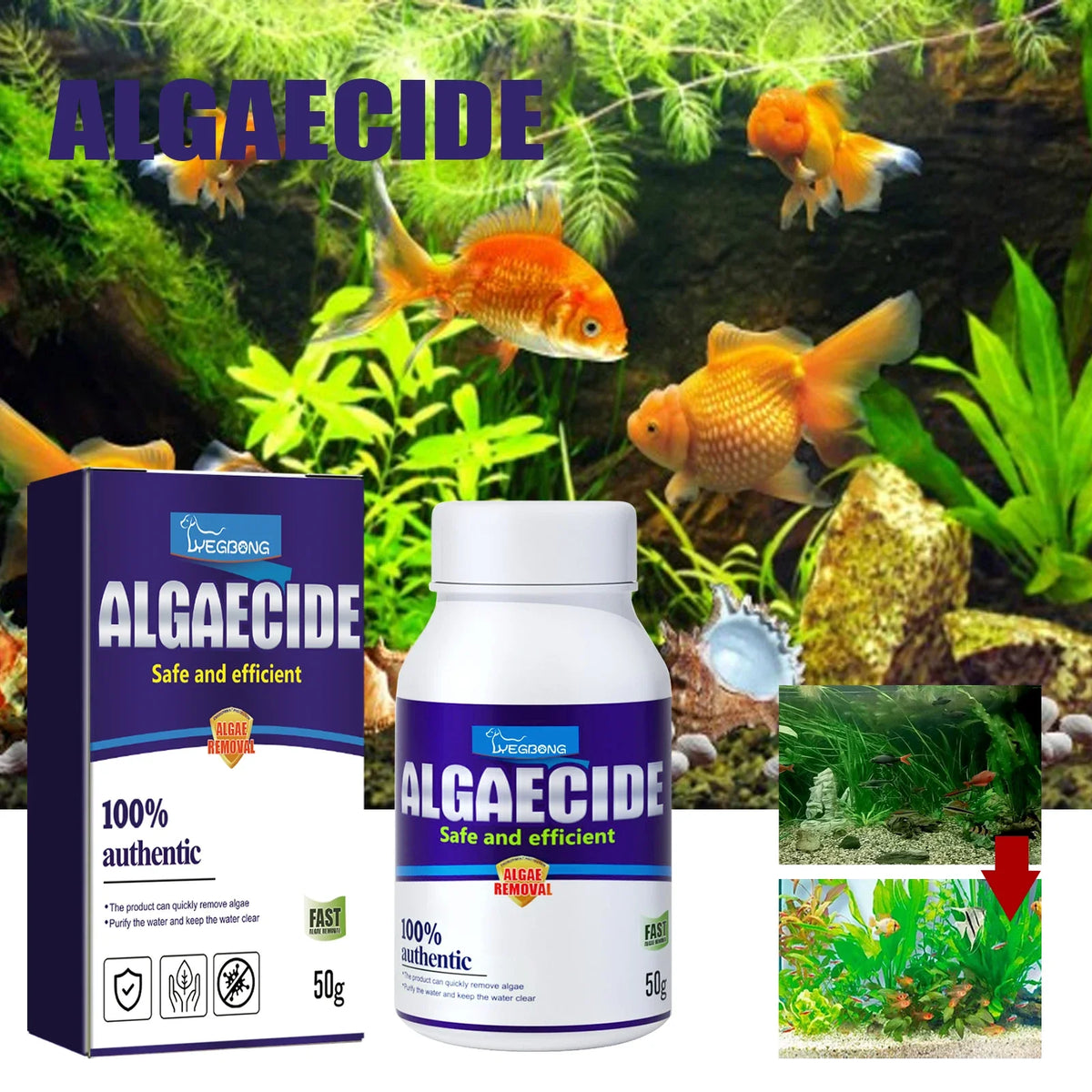 YEGBONG Aquarium Algae Removal Agent – Purify Tank Water Aquarium Algae Treatment Qme