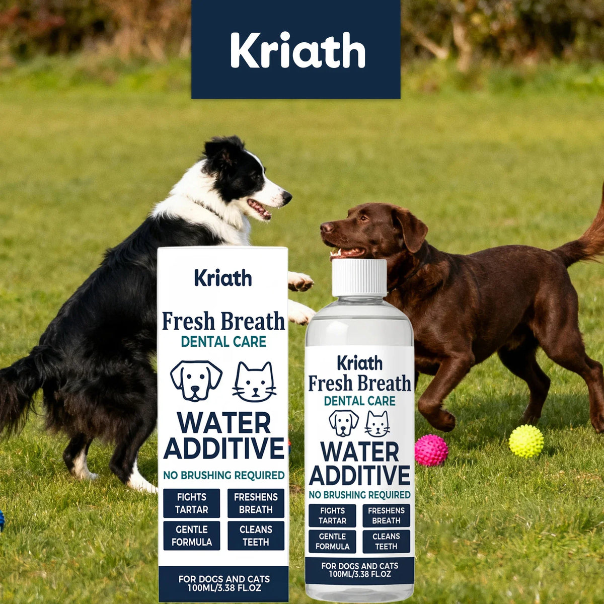 Drinkable Pet Mouthwash – Plaque & Tartar Control, Fresh Breath Pet Dental Additive Qme Default Title