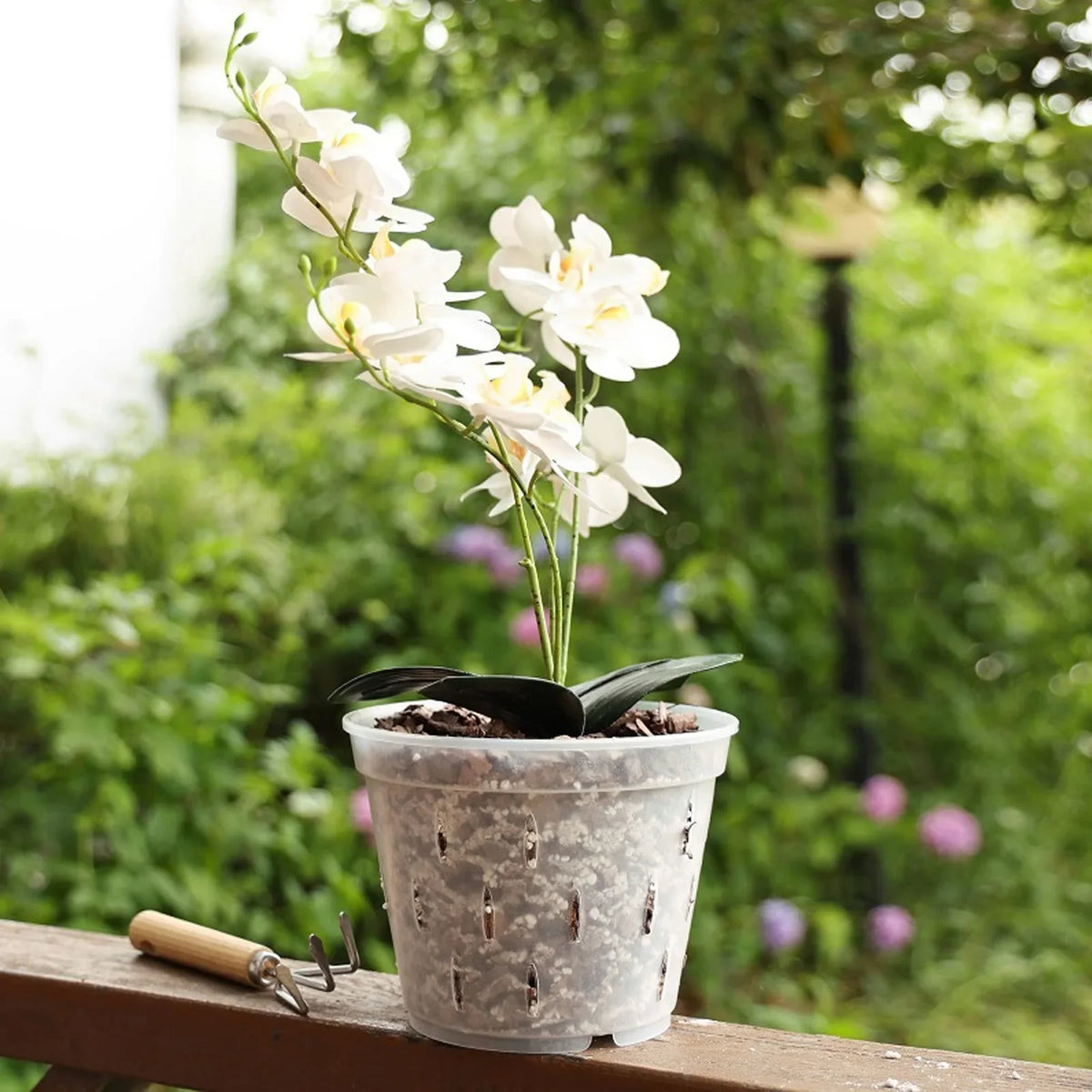 Clear Orchid Pots with Holes & Saucers – Set of 5 | 5.5in Orchid Planter Set Qme
