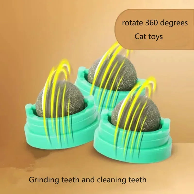 Catnip Wall Stick-On Ball Toy – Natural Cat Grass & Dental Cat Catnip Toy Qst