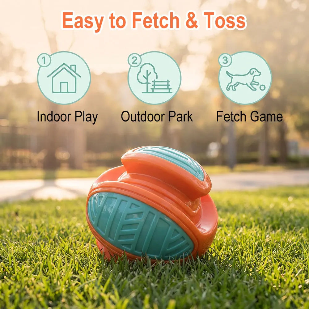 Squeaky TPR Dog Ball – Chew & Dental Toy for Small Dogs Dog Chew Toy Qst