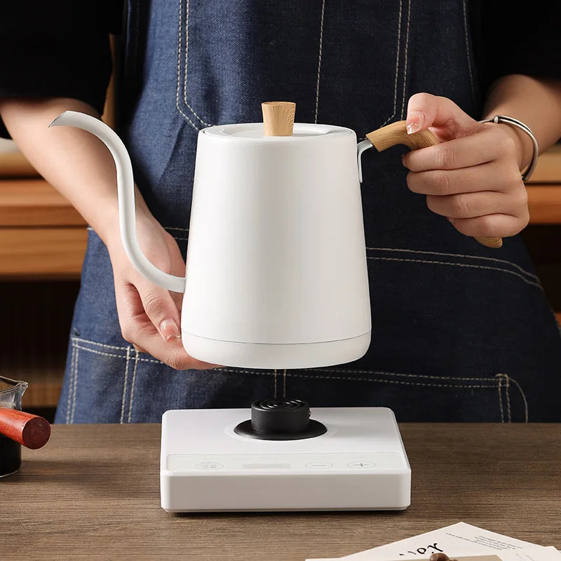 Electric Gooseneck Kettle with Temperature Control – Stainless Electric Gooseneck Kettle Qst