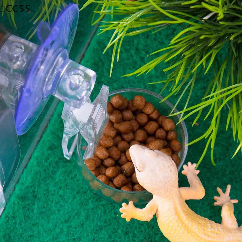 Reptile Suction Cup Feeding Bowl for Gecko, Lizard & Frog Reptile Feeder Bowl Qst