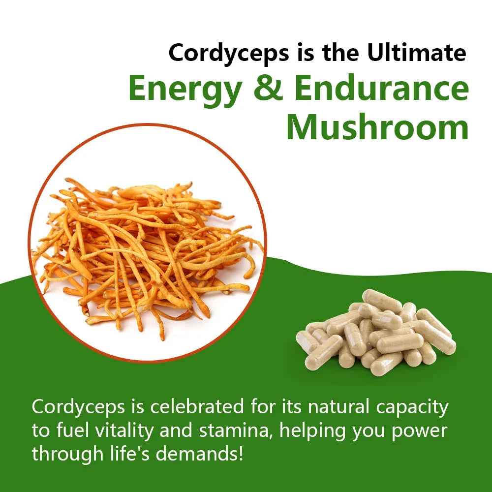 Organic Cordyceps Sinensis 1000mg – Energy & Endurance | 120 Caps Mushroom Supplement Qst