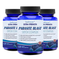 ZENVITALIZE Gut Cleanse Detox Complex – Natural Digestive Digestive Detox Supplement Qst 120 count-3 bottle