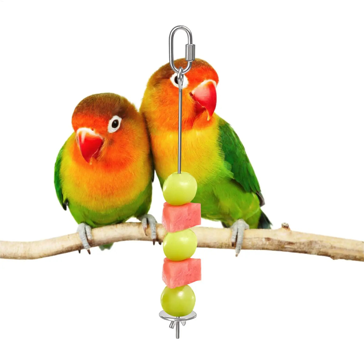 Stainless Steel Bird Cage Food Skewer & Fruit Stick Holder Bird Cage Accessory Qme
