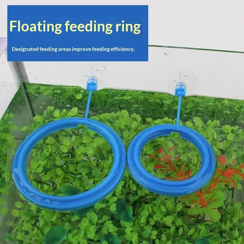 Floating Aquarium Feeding Ring Fish Tank Food Tray Feeder Aquarium Feeding Ring Qme