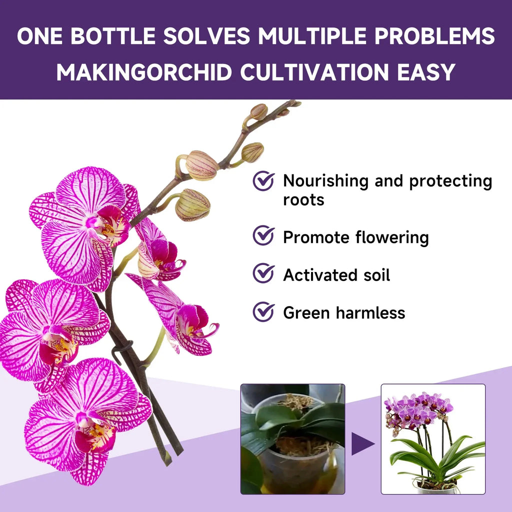 Orchid Liquid Fertilizer 50ml – Fast-Absorbing Plant Nutrient Liquid Plant Fertilizer Qst
