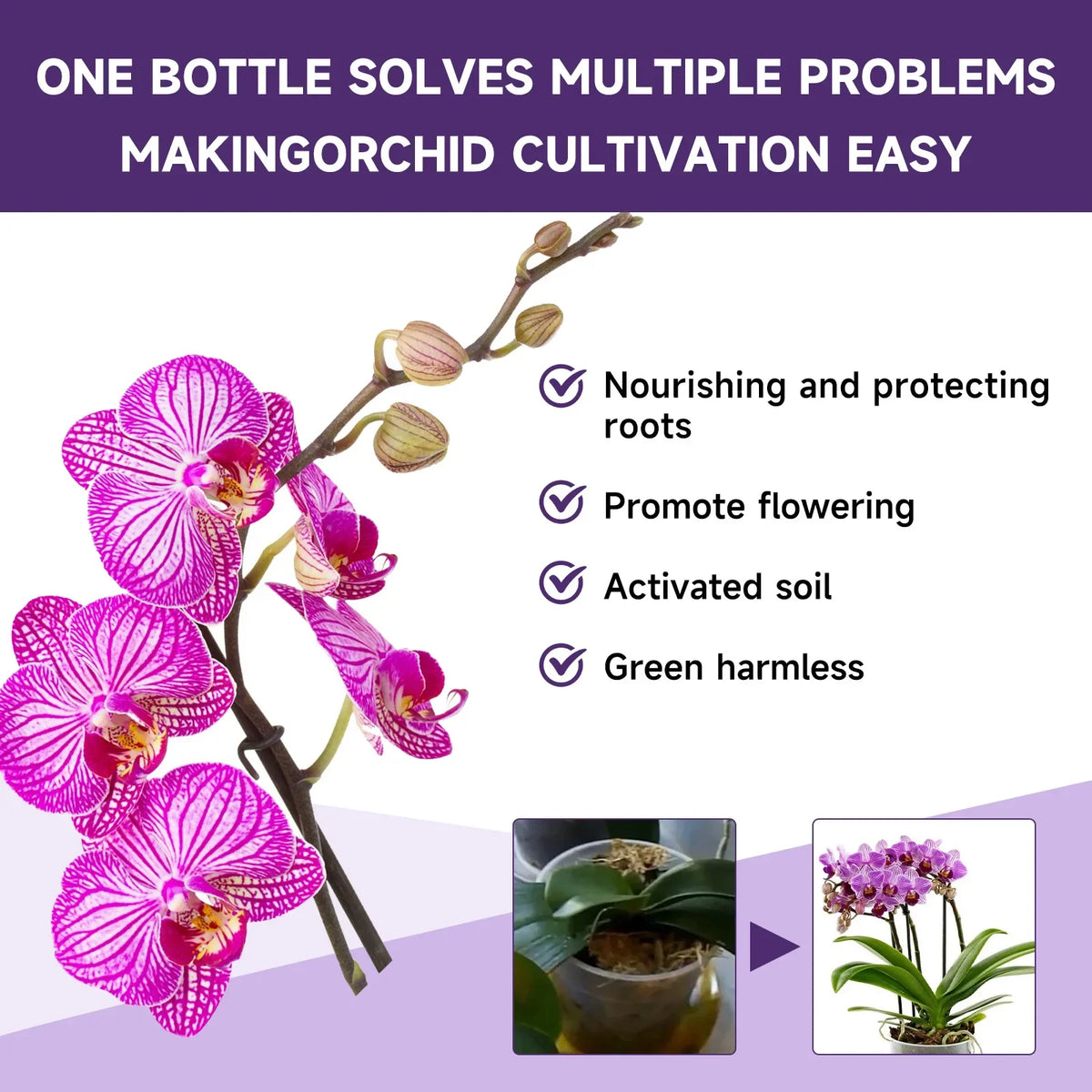 Orchid Liquid Fertilizer 50ml – Fast-Absorbing Plant Nutrient Liquid Plant Fertilizer Qst