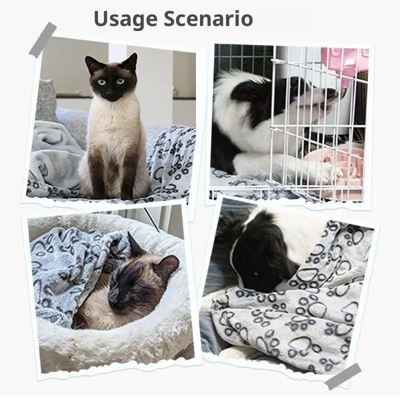 Ultra Soft Fluffy Pet Blanket – Cute Cartoon Mat for Cats & Dogs Pet Blanket Mat Qme