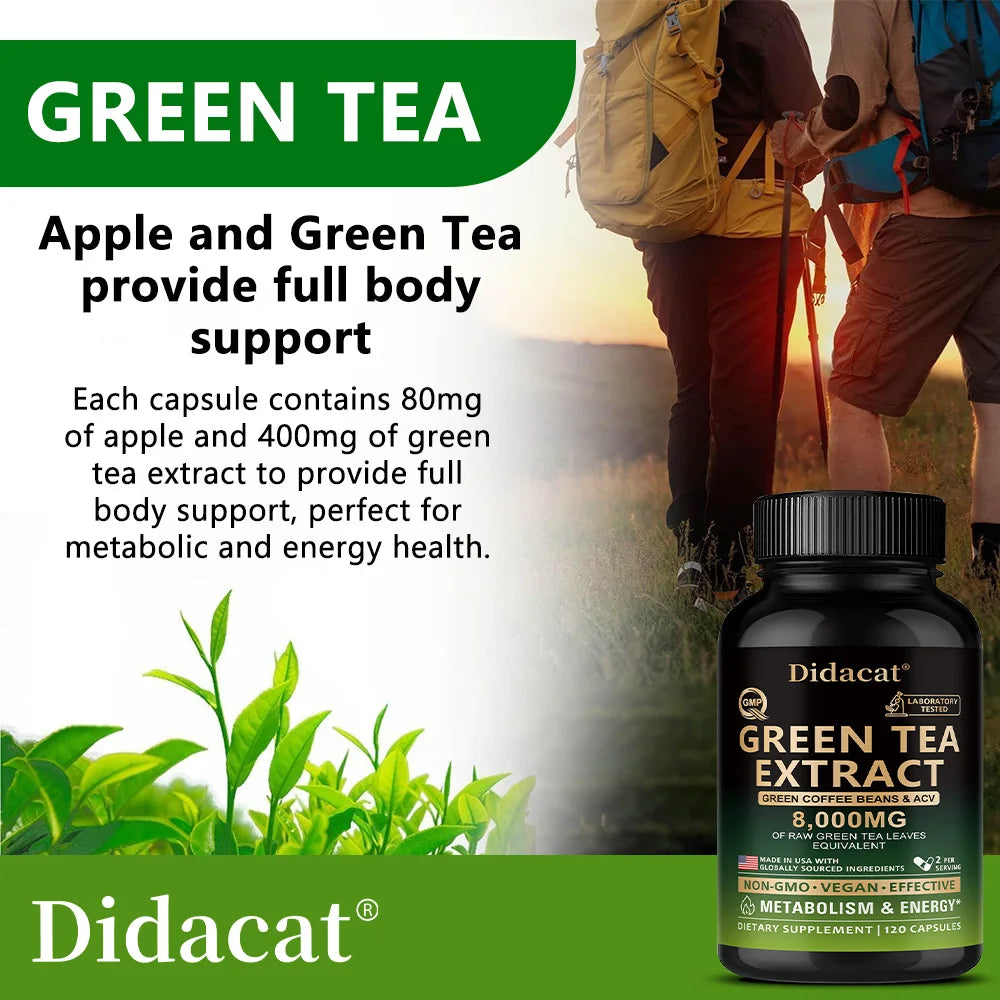 Green Tea Extract Capsules – Energy, Focus & Antioxidant Support Herbal Supplement Qst
