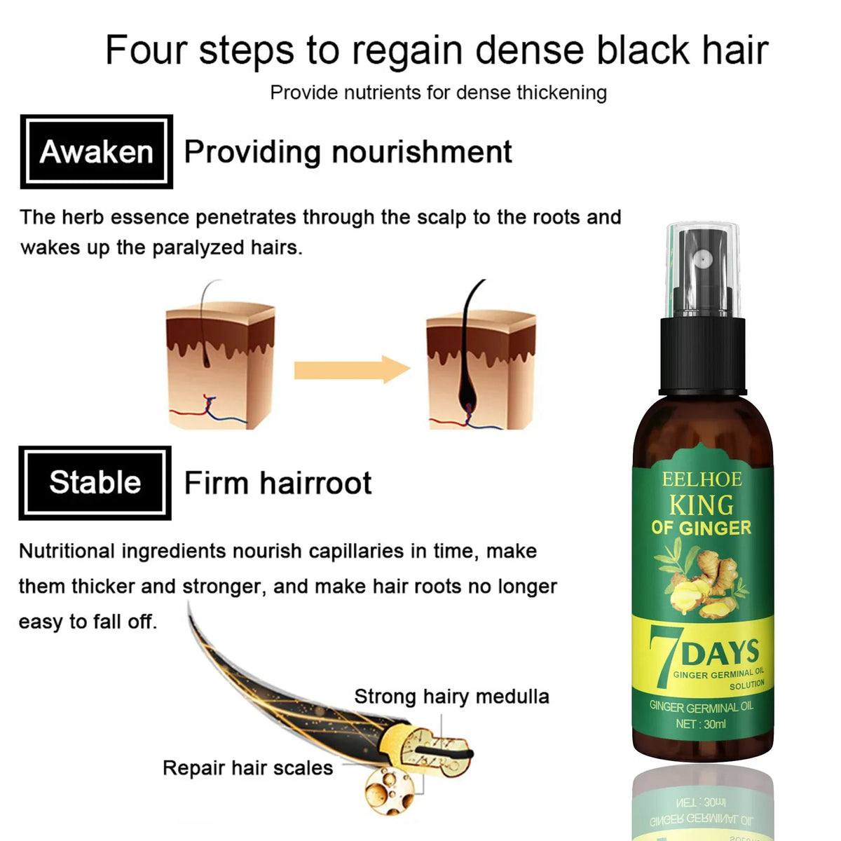 EELHOE 7-Day Ginger Hair Growth Spray Scalp Serum 50ml Hair Growth Serum Qst