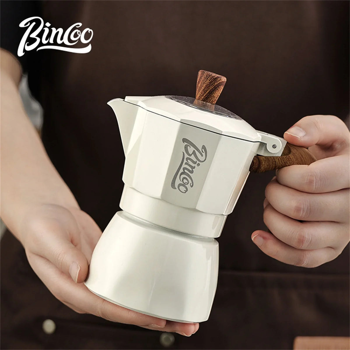 Bincoo Dual Valve Moka Pot & Electric Heater Espresso Set Moka Pot Espresso Set Qst