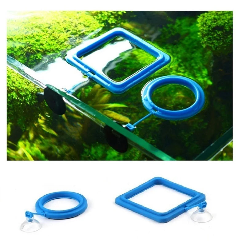 Aquarium Fish Feeding Ring – Floating Feeder for Fish Tanks Aquarium Feeding Ring Qme