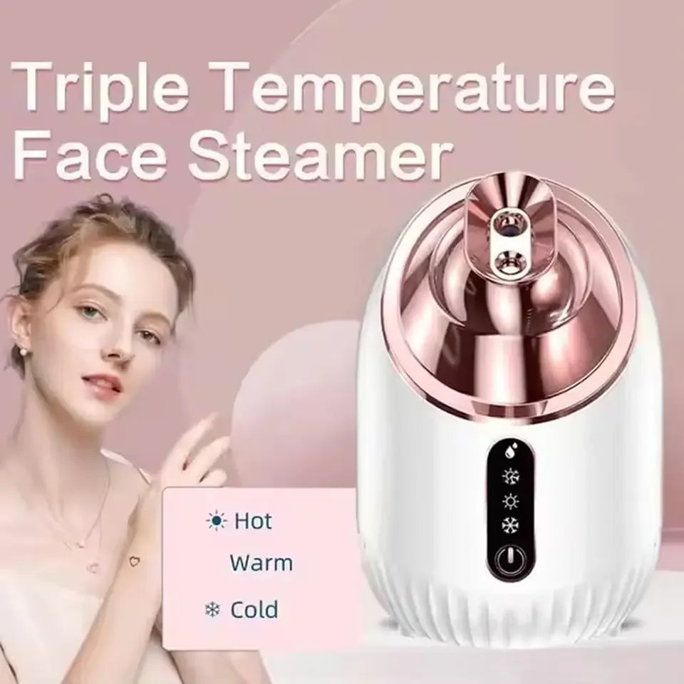 Vilnason Facial Steamer Cold Warm Hot Nano Mist Sprayer Spa Facial Steamer Qst