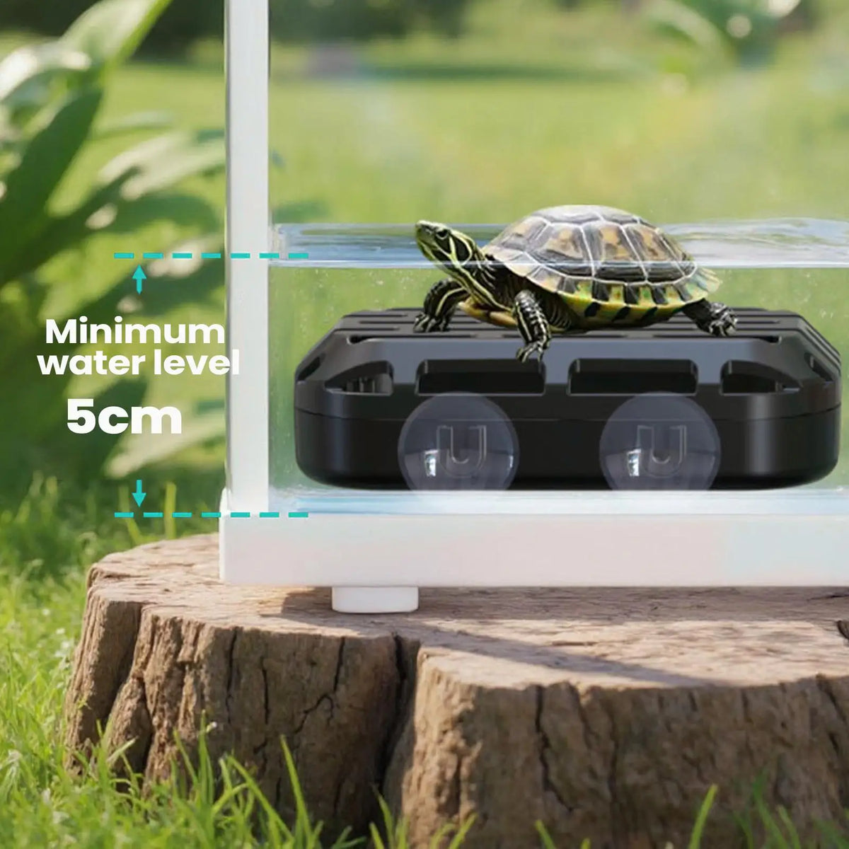 Turtle Waste Catcher Box with Suction Cup | Aquarium Reptile Accessory Reptile Tank Accessory Qme