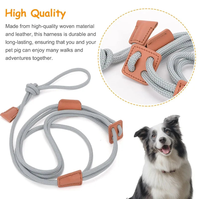 Adjustable Nylon Dog Harness Leash | Chest Strap, 6 Colors Dog Harness Leash Qme