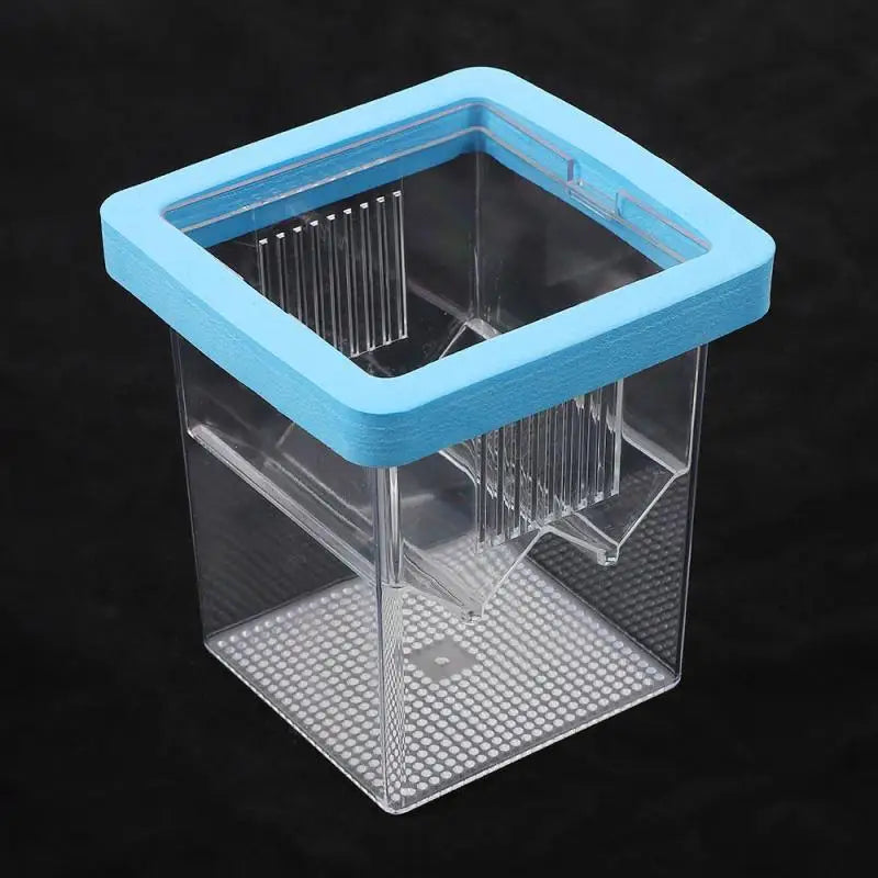 Transparent Floating Fish Breeding Isolation Box – Aquarium Fish Breeding Box Qst Blue