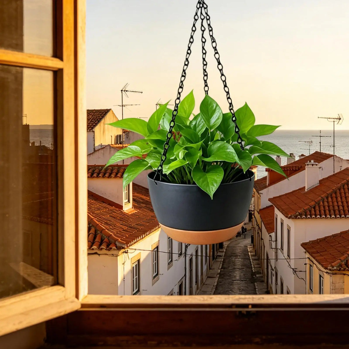 Hangable Flower Basket Planter with Removable Tray | Indoor & Outdoor Hanging Planter Pot Qme