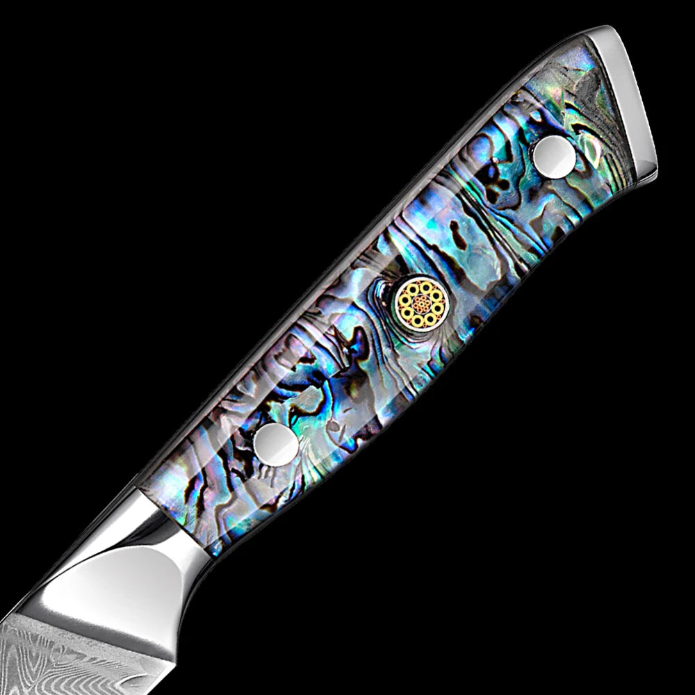 XITUO 3.5" Damascus VG10 Paring Knife – Razor Sharp Kitchen Knife Damascus Paring Knife Qst